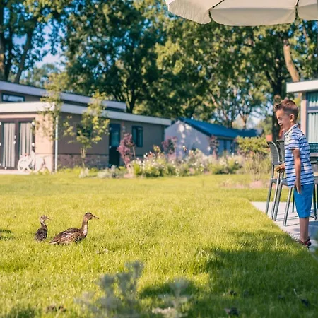 Pet-friendly Near Efteling *